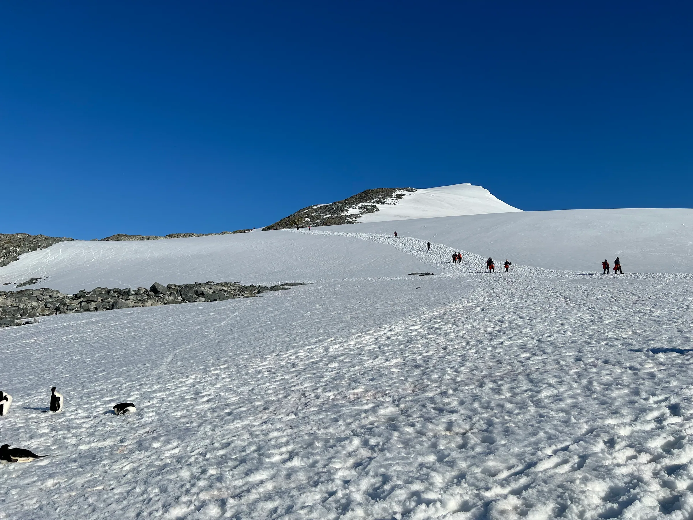 南极登山途中的雪地坡道