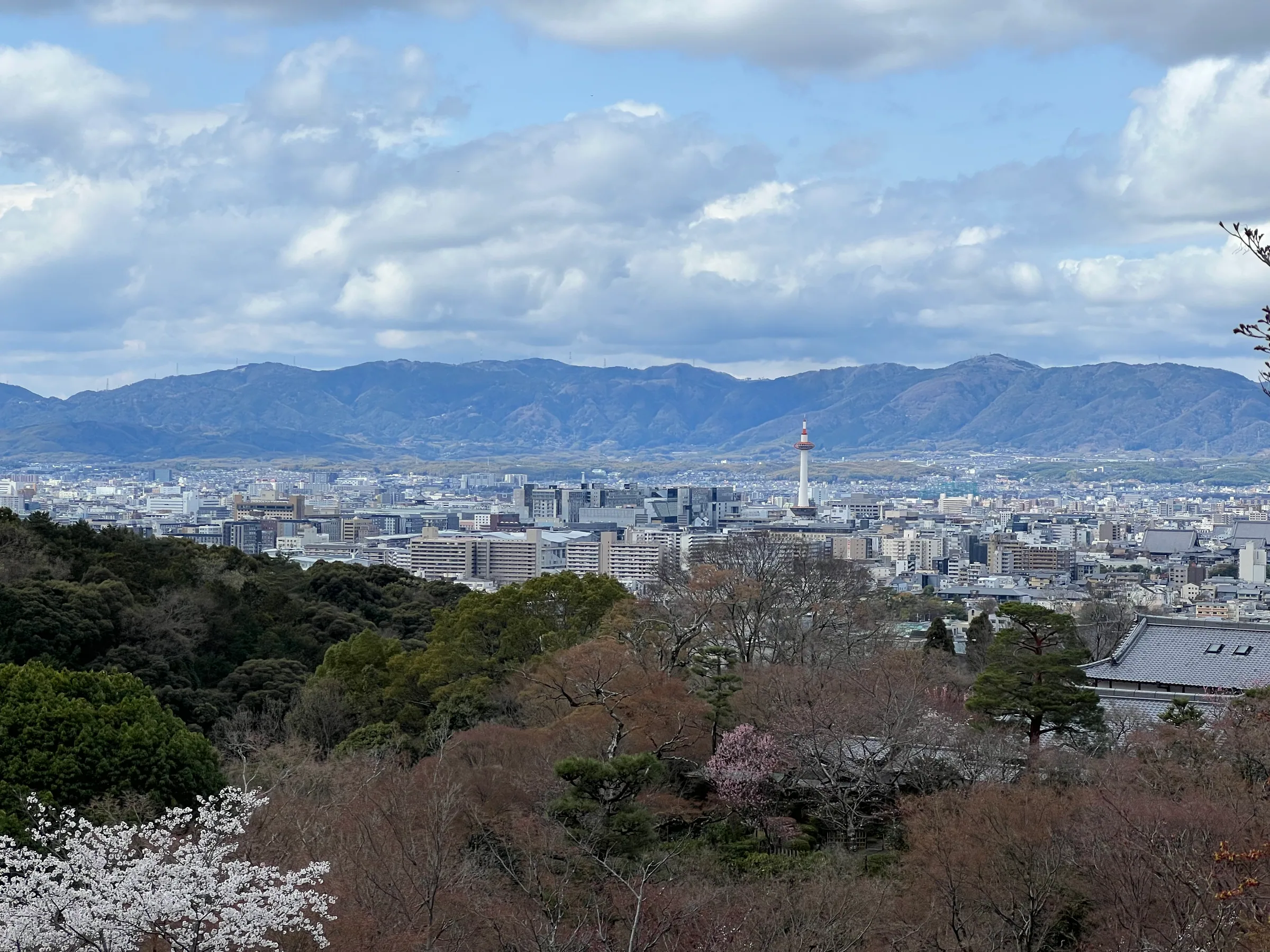 从清水寺俯瞰京都市区