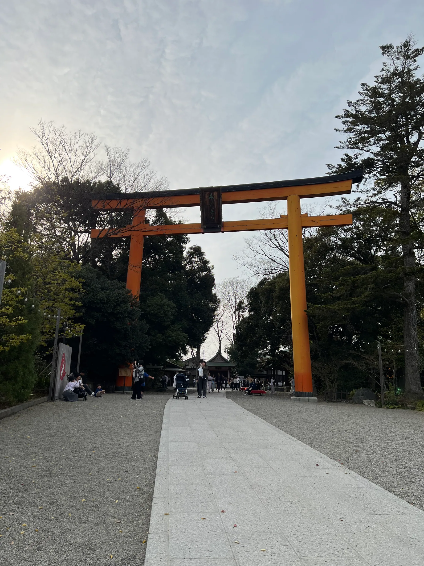 冰川神社内的鲷鱼形御神签