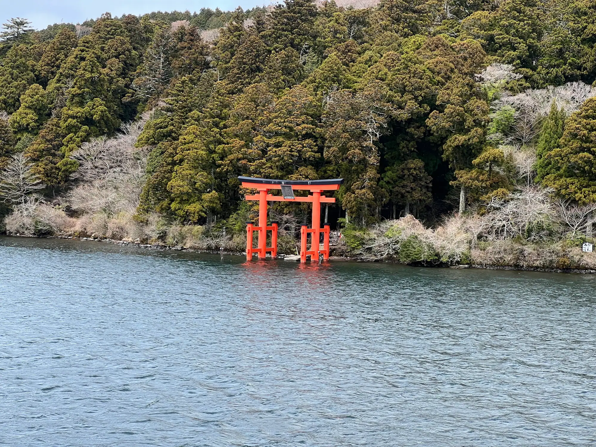 从芦之湖上看到的水上鸟居