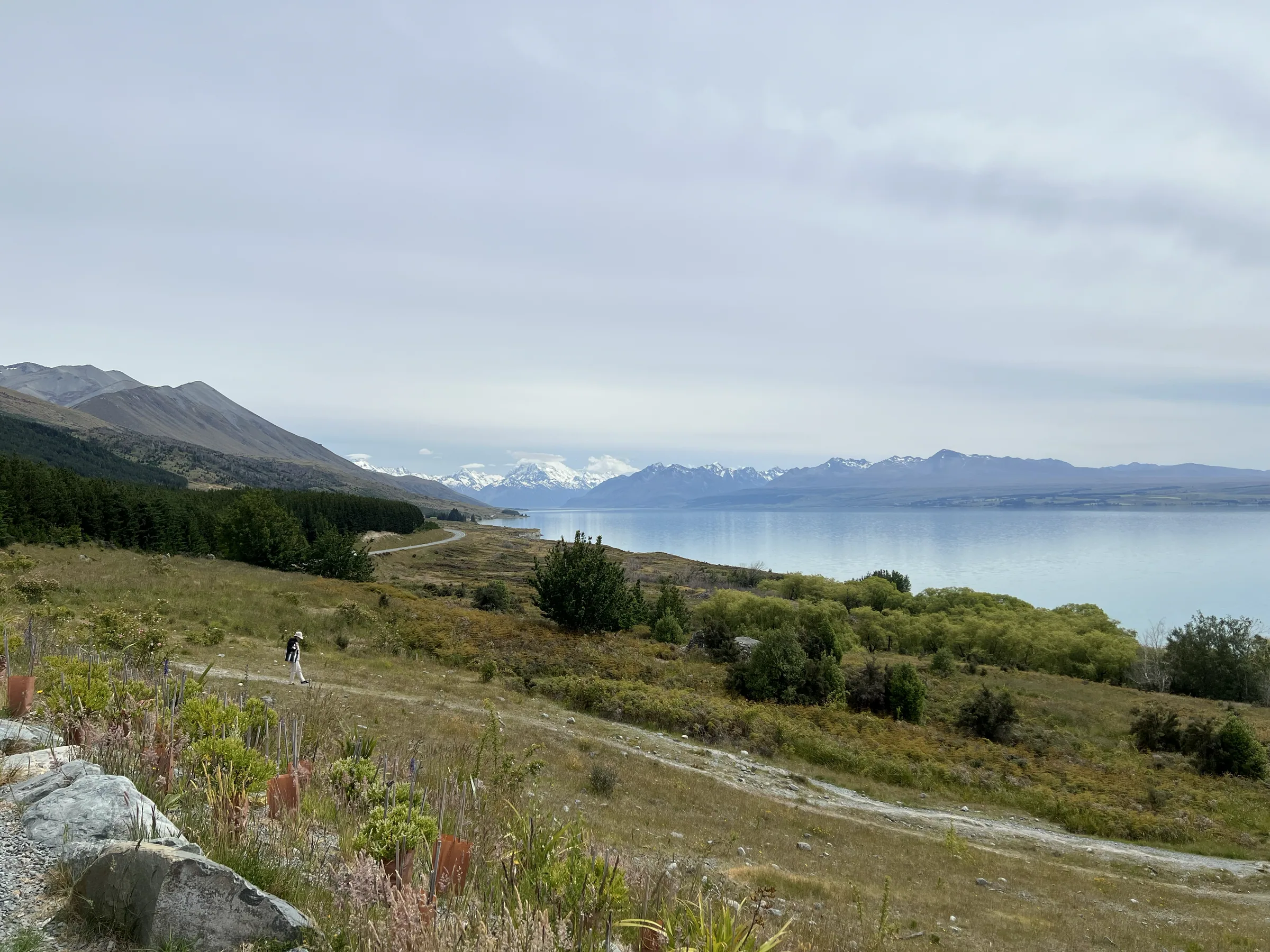 前往南岛山区途中看到的风景