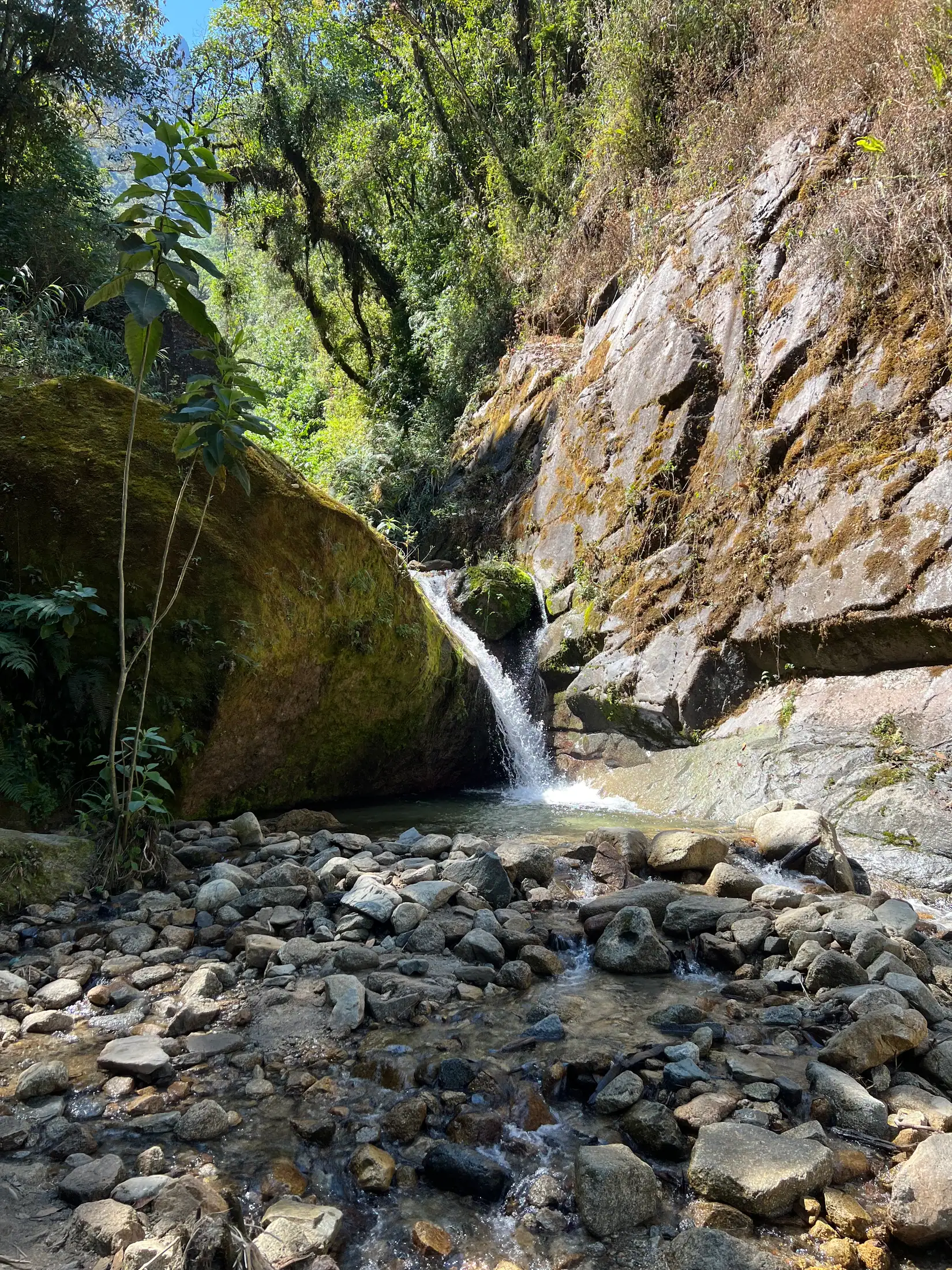 深山中的细小水流与岩石